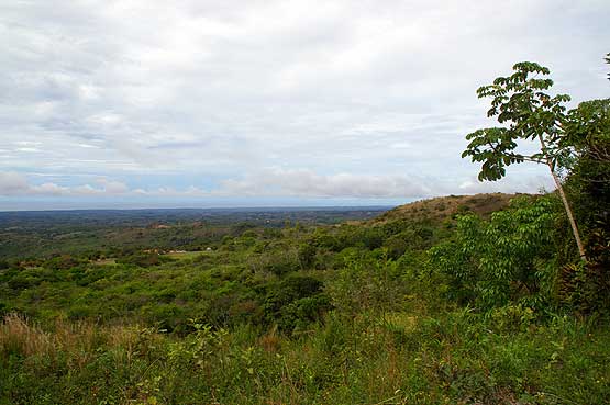 View from La Laguna de San Carlos