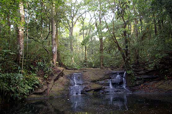 Charco Hike in the Soberania National Park