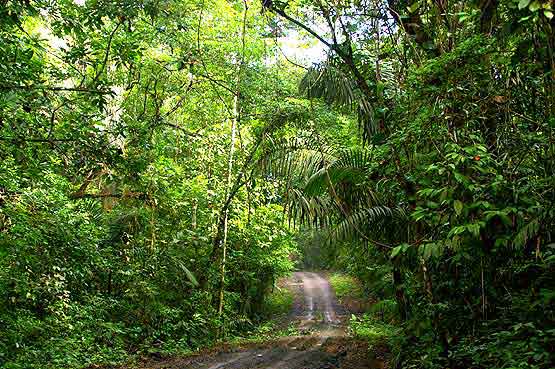 Pipeline Road