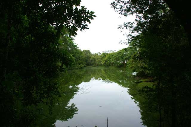 Summit Ponds